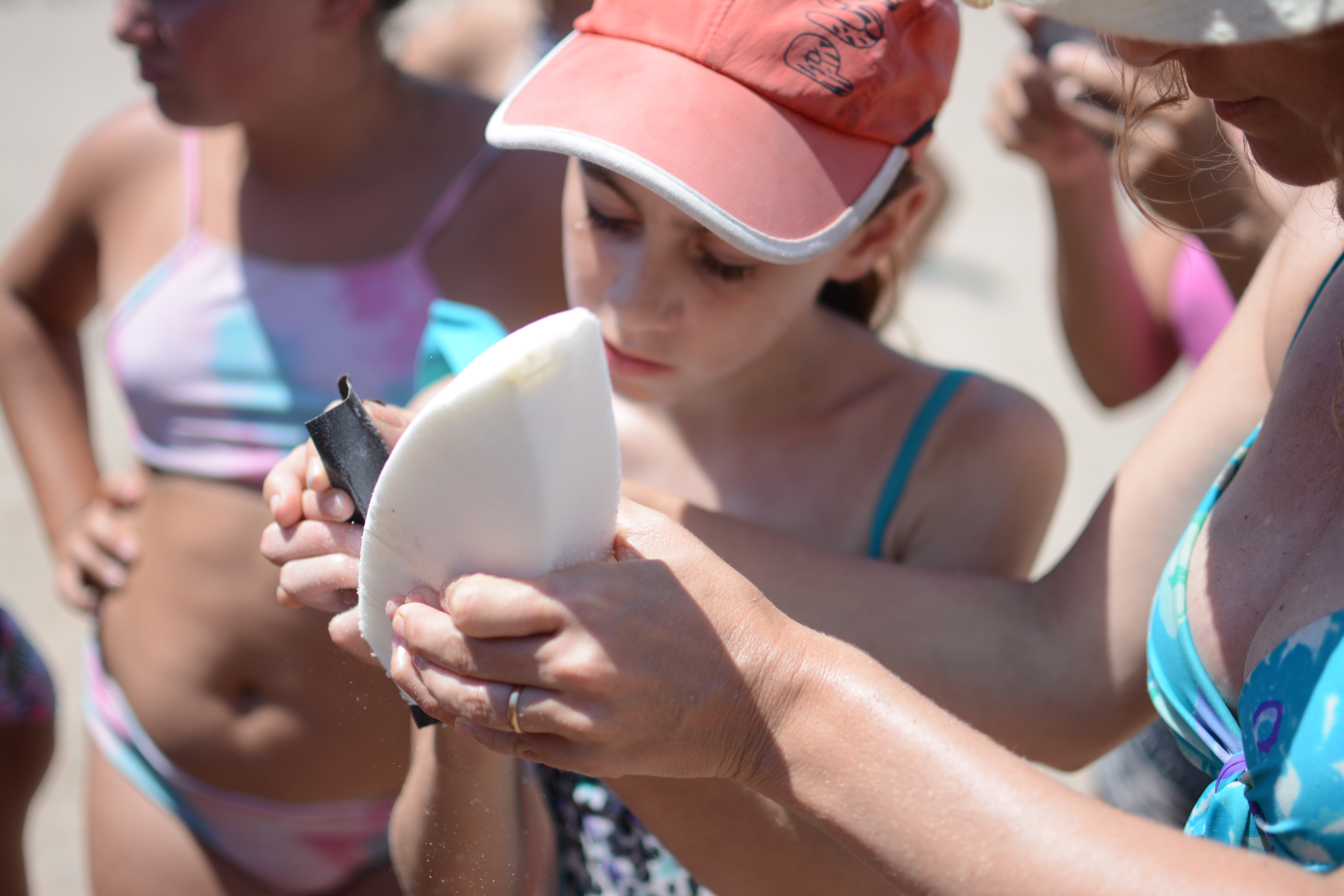 Diseño de tablas de Surf