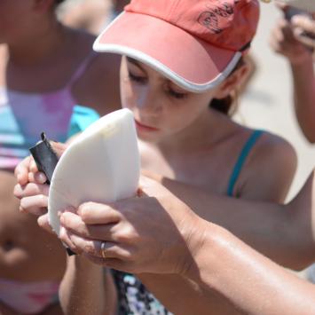 Diseño de tablas de Surf